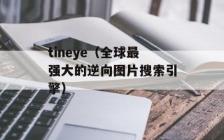 tineye（全球最强大的逆向图片搜索引擎）