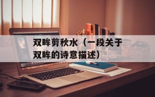 双眸剪秋水（一段关于双眸的诗意描述）