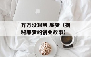 万万没想到 廉梦（揭秘廉梦的创业故事）