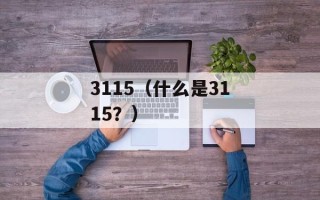 3115（什么是3115？）