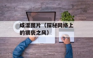 咸湿图片（探秘网络上的猥亵之风）