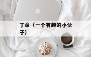 丁童（一个有趣的小伙子）