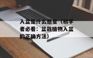入盆是什么感觉（初学者必看：盆栽植物入盆的正确方法）