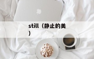 still（静止的美）