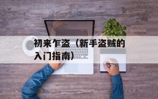 初来乍盗（新手盗贼的入门指南）