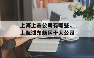 上海上市公司有哪些，上海浦东新区十大公司