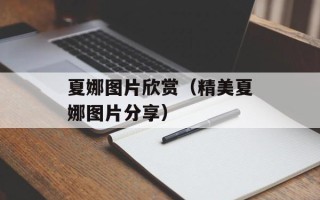 夏娜图片欣赏（精美夏娜图片分享）