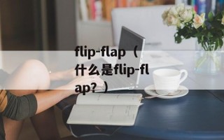 flip-flap（什么是flip-flap？）