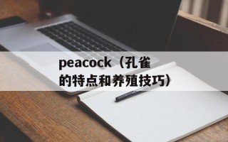 peacock（孔雀的特点和养殖技巧）