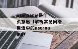 username是什么意思（解析常见网络用语中的username）