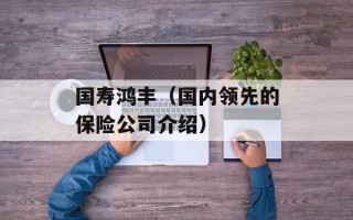 国寿鸿丰（国内领先的保险公司介绍）