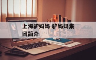上海驴妈妈 驴妈妈集团简介