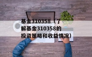 基金310358（了解基金310358的投资策略和收益情况）