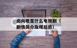 南向晚是什么电视剧（剧情简介及观后感）