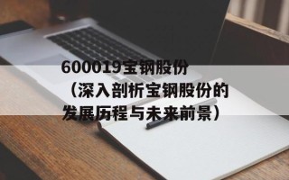 600019宝钢股份（深入剖析宝钢股份的发展历程与未来前景）