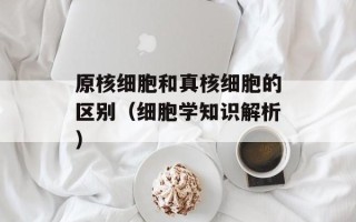 原核细胞和真核细胞的区别（细胞学知识解析）