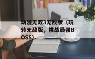 动漫无双3无敌版（玩转无敌版，挑战最强BOSS）