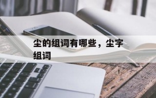 尘的组词有哪些，尘字组词
