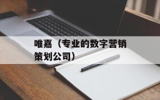 唯嘉（专业的数字营销策划公司）