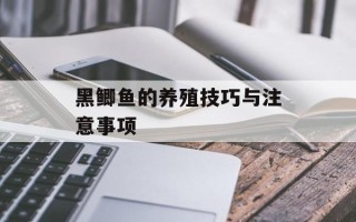 黑鲫鱼的养殖技巧与注意事项
