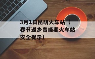 3月1日昆明火车站（春节返乡高峰期火车站安全提示）