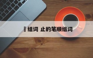 阯组词 止的笔顺组词