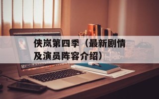 侠岚第四季（最新剧情及演员阵容介绍）