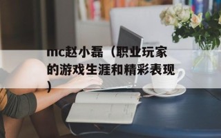 mc赵小磊（职业玩家的游戏生涯和精彩表现）