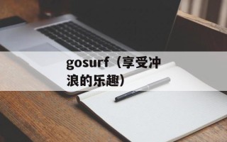 gosurf（享受冲浪的乐趣）