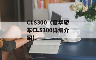 CLS300（豪华轿车CLS300详细介绍）