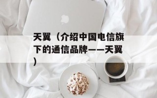 天翼（介绍中国电信旗下的通信品牌——天翼）