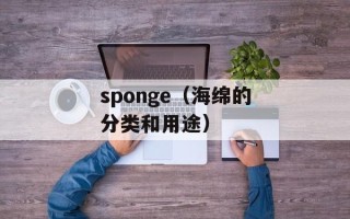 sponge（海绵的分类和用途）