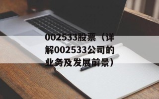 002533股票（详解002533公司的业务及发展前景）