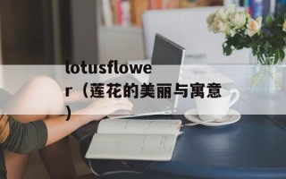lotusflower（莲花的美丽与寓意）