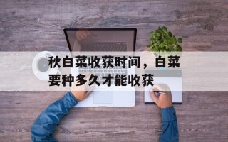 秋白菜收获时间，白菜要种多久才能收获