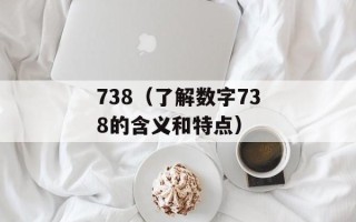 738（了解数字738的含义和特点）