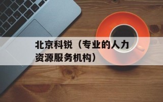 北京科锐（专业的人力资源服务机构）