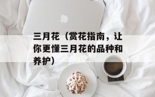 三月花（赏花指南，让你更懂三月花的品种和养护）