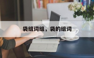 袋组词组，袋的组词