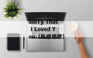 Sorry That I Loved You（伤感情歌）
