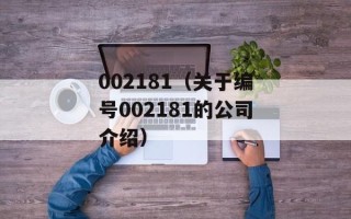 002181（关于编号002181的公司介绍）