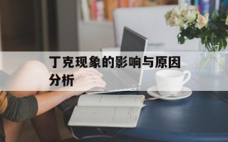 丁克现象的影响与原因分析