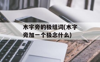 木字旁的极组词(木字旁加一个极念什么)