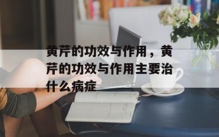 黄芹的功效与作用，黄芹的功效与作用主要治什么病症