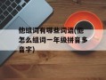 他组词有哪些词语(他怎么组词一年级拼音多音字)