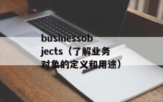 businessobjects（了解业务对象的定义和用途）