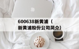 600638新黄浦（新黄浦股份公司简介）
