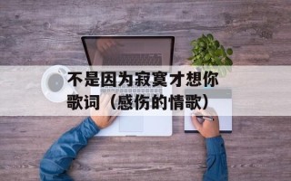 不是因为寂寞才想你 歌词（感伤的情歌）