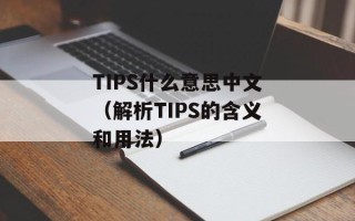 TIPS什么意思中文（解析TIPS的含义和用法）