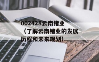 002428云南锗业（了解云南锗业的发展历程和未来规划）